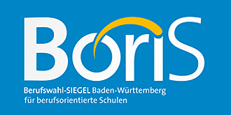 Boris Berufswahl BW